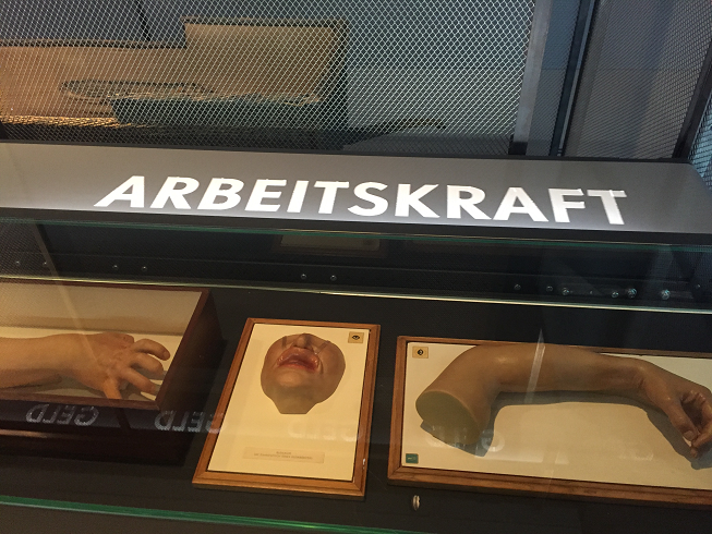 图片5.png 图片5.png