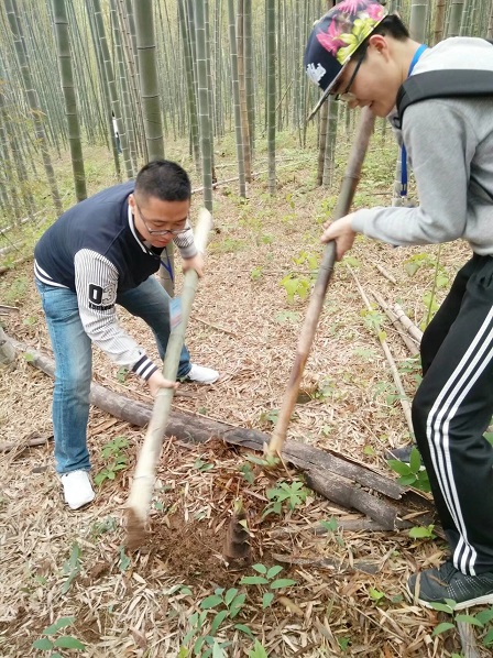 273856604229645656.jpg 273856604229645656.jpg