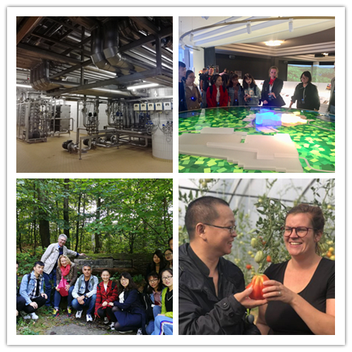 图片4.png 图片4.png